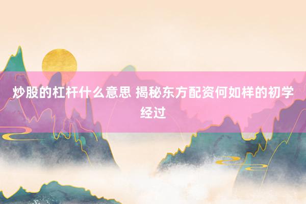炒股的杠杆什么意思 揭秘东方配资何如样的初学经过