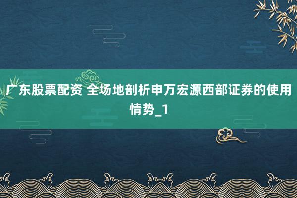 广东股票配资 全场地剖析申万宏源西部证券的使用情势_1